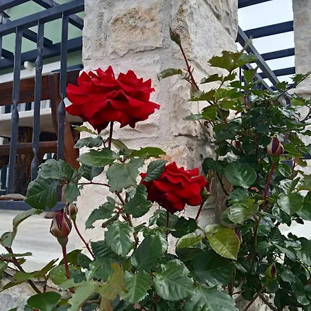 Сasa de vacaciones Authentic Stone House Piece Of Heaven *