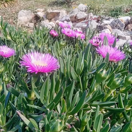 Authentic Stone House Piece Of Heaven Сasa de vacaciones