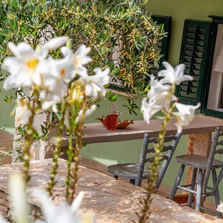 Authentic Stone House Piece Of Heaven Vela Luka