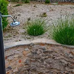 Authentic Stone House Piece Of Heaven Feriehus