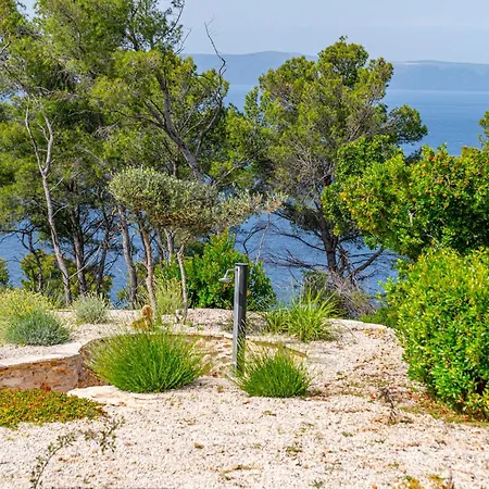 Vakantiehuis Authentic Stone House Piece Of Heaven